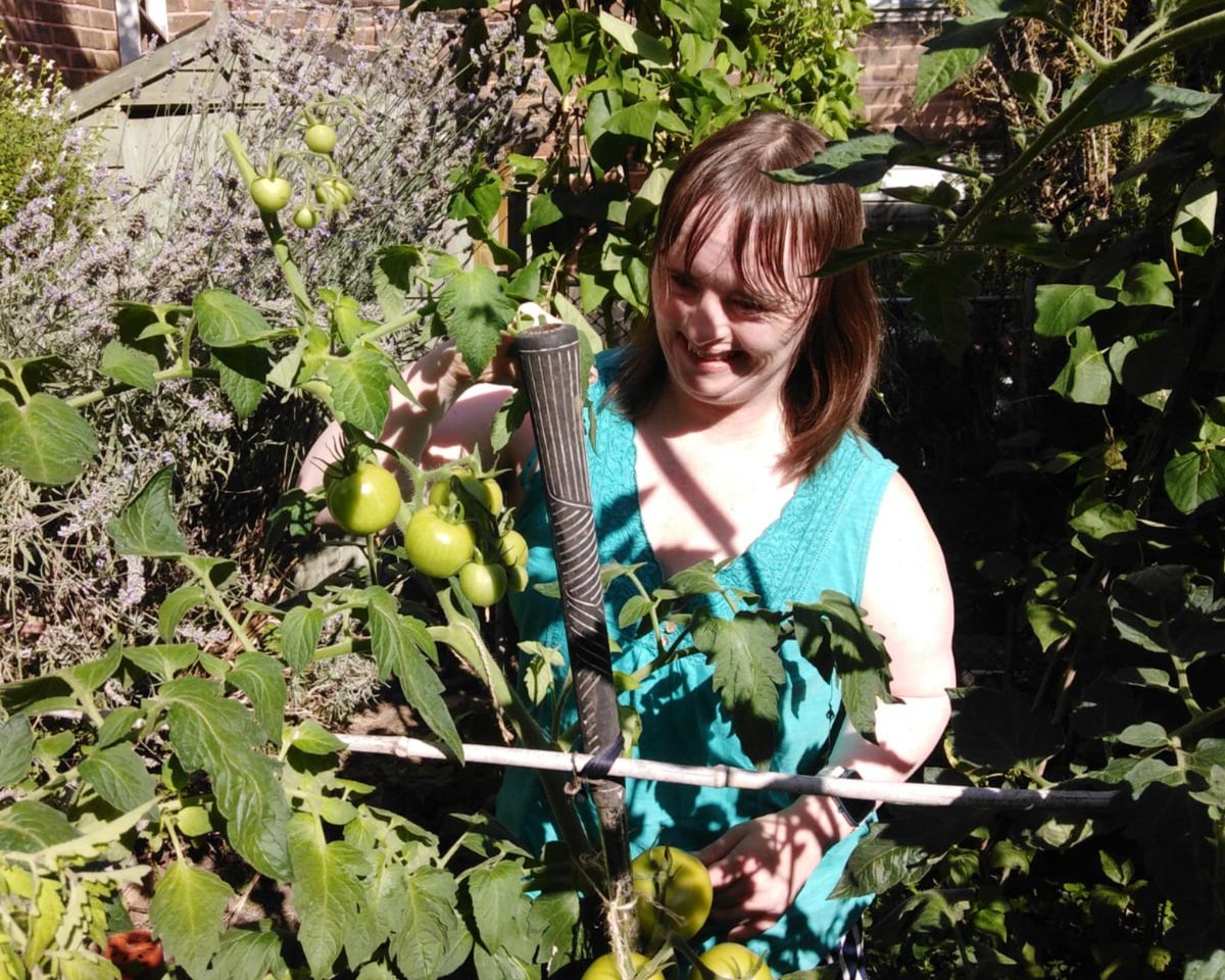 In her blog this week Kate talks about enjoying veggies from her garden and wishing for just a little bit more sun to feed the tomatoes! ☀️ Read more here 👉 loom.ly/77zliGY #homegrown #sustainability #garden #moresun