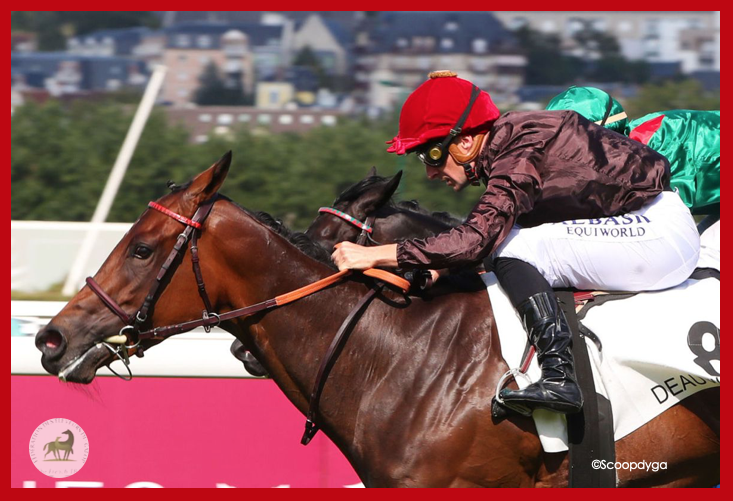 Fedeeleveurs's tweet photo. 🌷 Toutes nos plus grandes félicitations à Alain Chopard, pour la victoire de TULIPA CHOPE, fille de #borntosea du Haras des Faunes, dans le Critérium du Fond Européen d'Elevage, Listed sur l'hippodrome de Deauville ! 🙌
#VivelElevageFrançais #BreedInFrance #RaceAndCare https://t.co/lto72bnFBt