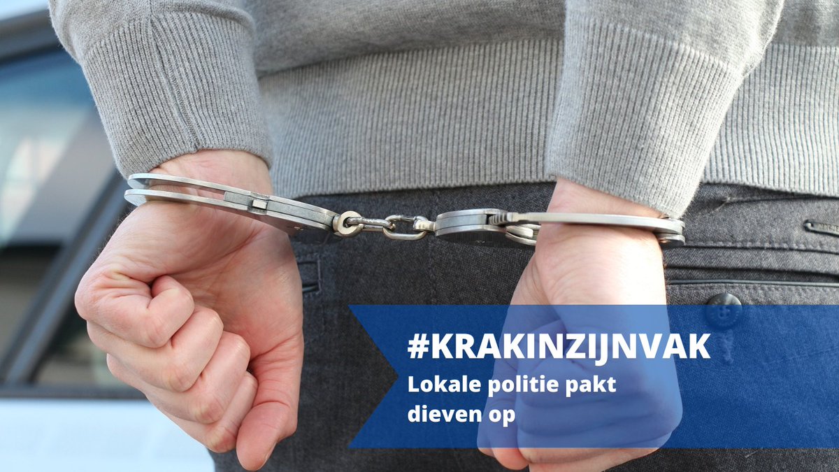 PZDamme/Knokke-Heist tweet media