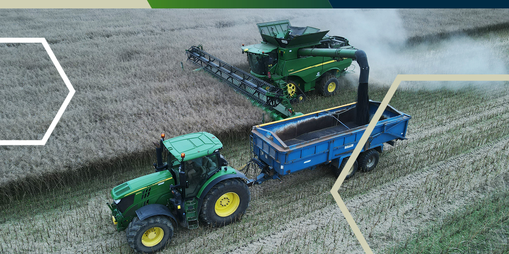 PremiumCrops's tweet photo. ‘Rocca’ HEAR combined late July.
HEAR is the UK’s most profitable way to grow OSR.
Contact Premium Crops on 02392632883 for details.
#premiumcrops #roccahear #osrcrops #profitablecrops #agriculture #ukfarming https://t.co/IjIXFPTzs8