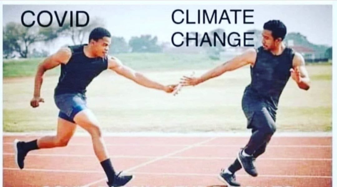 Laurence Fox tweet media