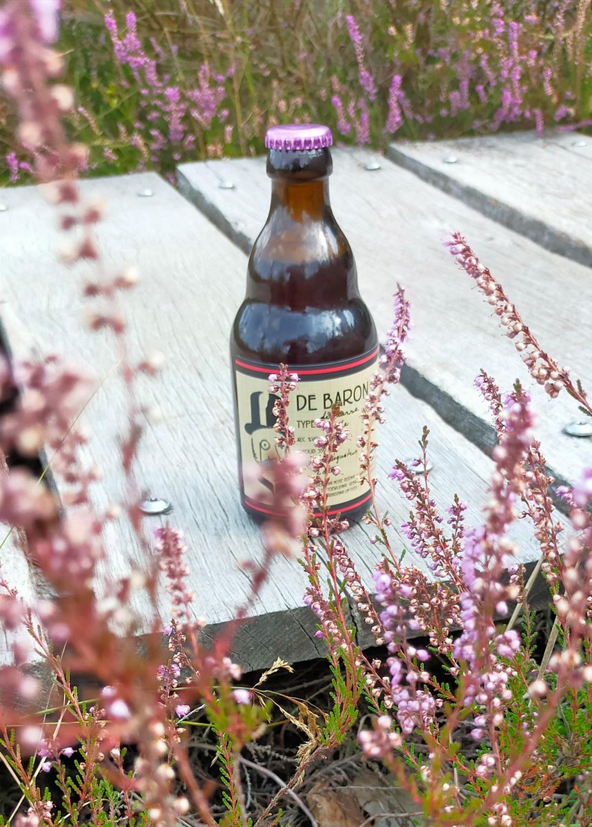 De Belcrum Biertafel. Vrijdag 25 augustus 2023 van 16:00 tot 22:00 uur: De leukste (bier)borrel van de Belcrum: 20 speciaalbieren op de Speelhuislaan.
De 2023 versie van "De Paarse Heide" van De Baron bier zal hier exclusief verkrijgbaar zijn. #Bier  #DeBaronBier #Breda #Belcrum