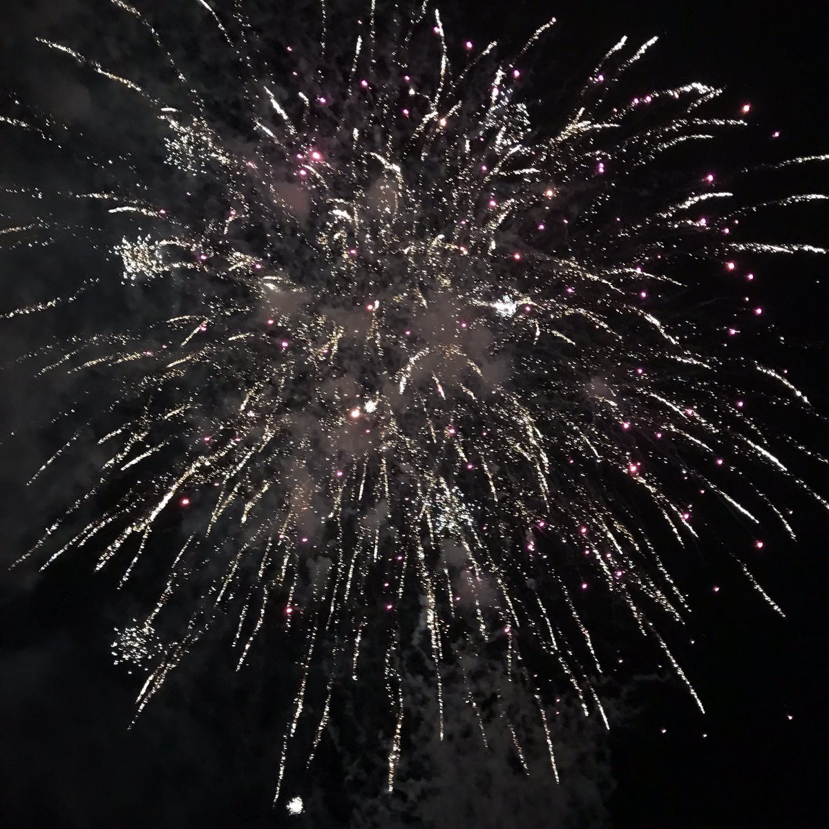 Pslatt's tweet photo. Finally got to see the #wabuchi summer festival. #和渕　＃夏まつり　#花火　＃宮城 https://t.co/0Kv9gzEinu