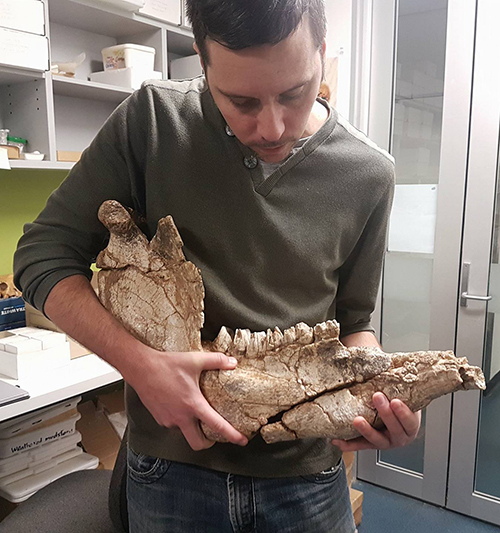 IT'S TIME TO UNLEASH THE BEAST

Well, Frank the Diprotodon, that is.

Frank and I are co-presenting a TED talk tomorrow for UQ's 2023 event. We'll be talking about megafauna and Ice Age ecosystems of Oz.

#FossilFriday <a href="/UQ_News/">UQ News</a> <a href="/TEDTalks/">TED Talks</a> #TEDxUQ #TEDxUQ2023 #TEDxTalk <a href="/UQscience/">UQ Science</a>