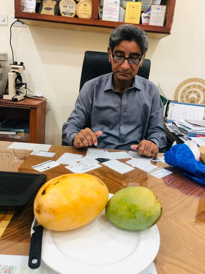deepstatepak's tweet photo. One mango 
One family 
variety -Labar Kabeer
Variety developed by Dr Nazim Hussain Labar Agriculture BZU Multan. 
#MultaniMangoes https://t.co/c9GYfNkFUP