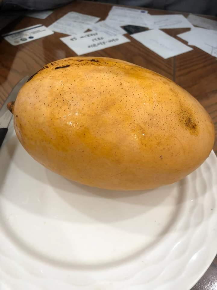 deepstatepak's tweet photo. One mango 
One family 
variety -Labar Kabeer
Variety developed by Dr Nazim Hussain Labar Agriculture BZU Multan. 
#MultaniMangoes https://t.co/c9GYfNkFUP