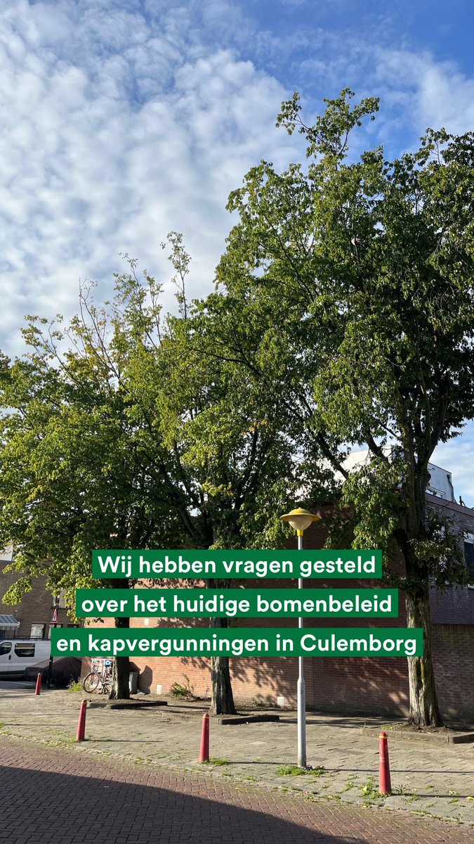 Wij hebben vragen gesteld over het huidige bomenbeleid en kapvergunningen in Culemborg. Wij zijn o.a. benieuwd hoe het gaat met de herplantplicht? En of dit beleid succesvol is gebleken qua CO2 compensatie? bit.ly/47zOl1V #bomen #C02 #kappenmetkappen #pvdd #culemborg