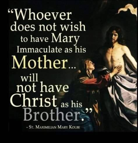 terciarioFcano's tweet photo. #MaxKolbe pray for us! https://t.co/M1dYcgQ1Pi