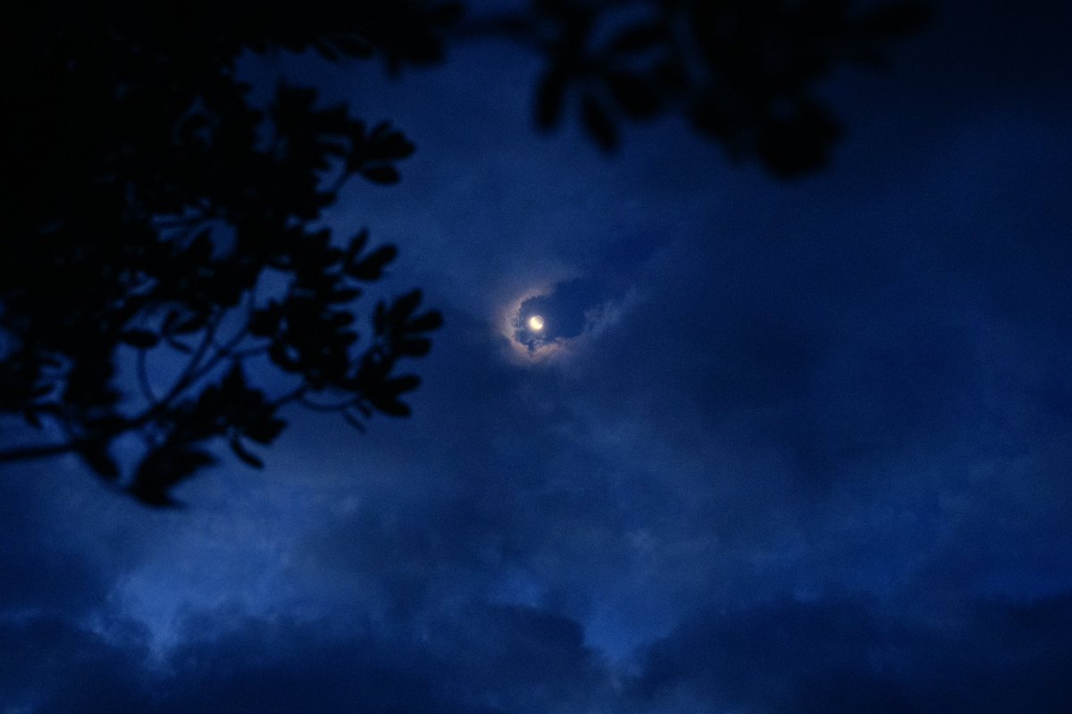 ezraleary's tweet image. Lost love