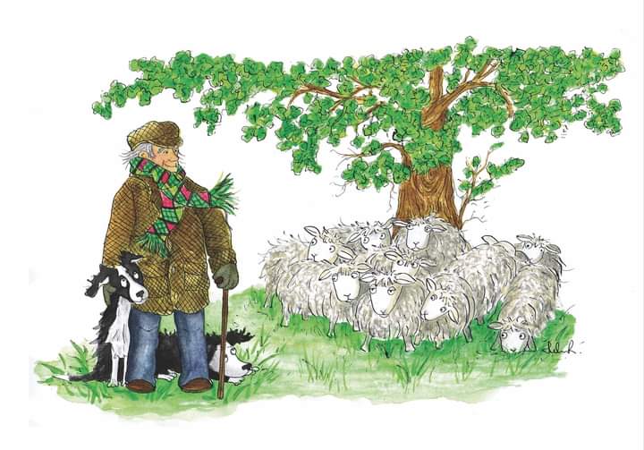 jaminoshdesigns's tweet image. Whilst being in Ysbyty Glan Clwyd for a week in July I finally bumped into the original paintings I gave to them during lockdown. They were from a body of work I exhibited @Oriel_Mon  a few years ago! They're scattered around the discharge lounge and other areas @BetsiCadwaladr