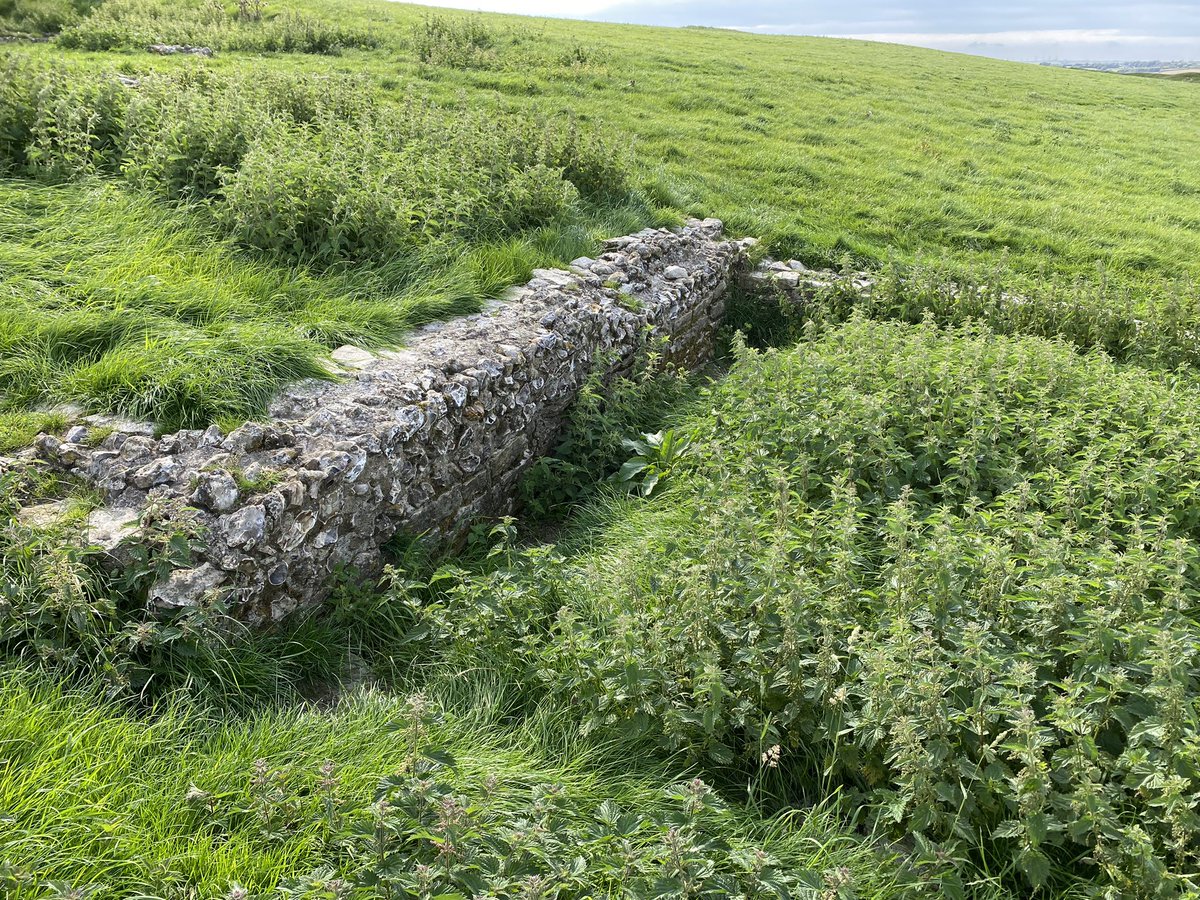 Dr Francis Young tweet media