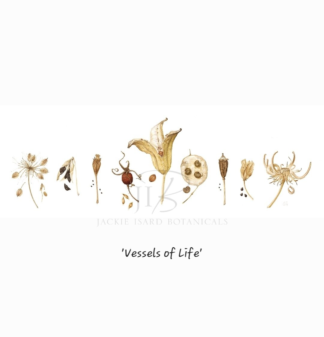 Jackie Isard tweet media