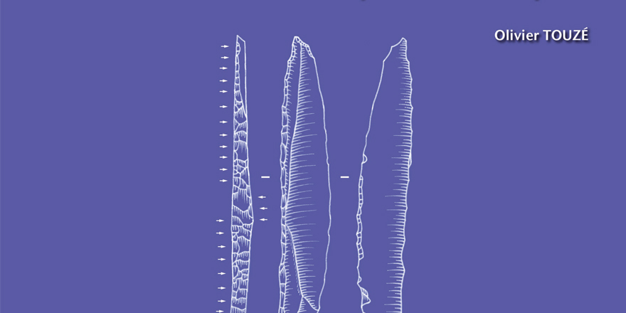 Publications MNHN 🐝 tweet media