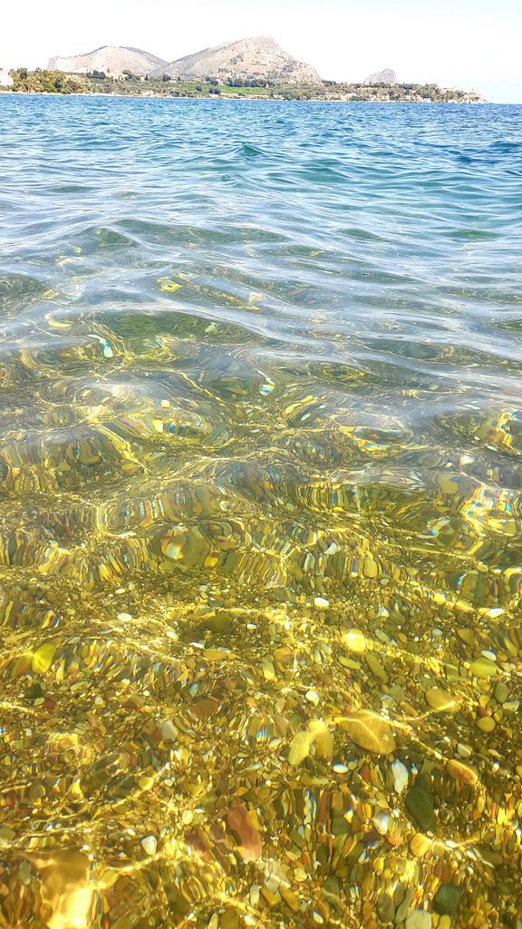 ManuelaFiorill5's tweet photo. Buongiorno
#capozafferano
#siciliabedda https://t.co/pO2VKu21Wy
