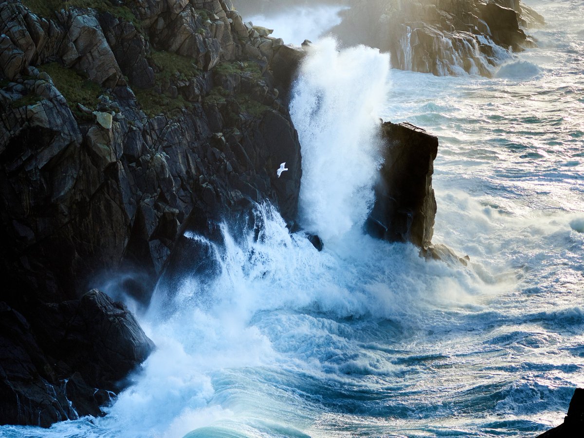 HenryHtheFinn's tweet photo. As a study habitat, it's a pretty dramatic one #seabirds https://t.co/NytMLTfGhu