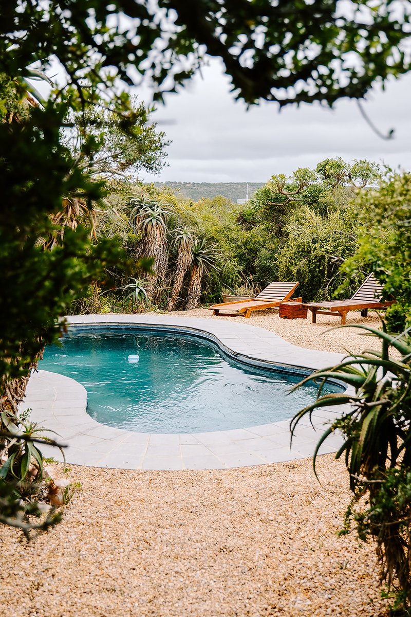 Amakhala Reserve tweet media