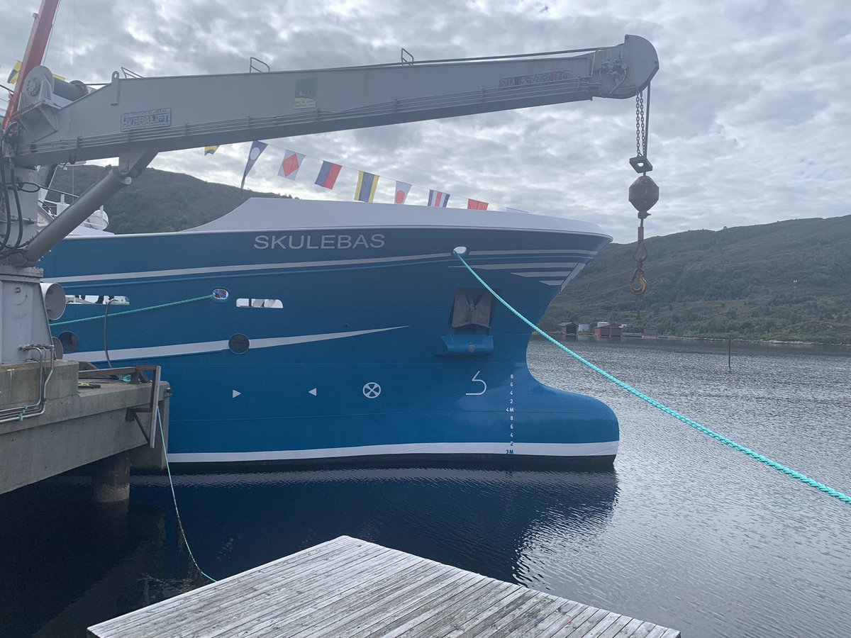 Karrilou🌻🪗 tweet media