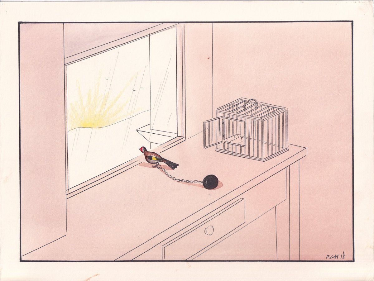 Encarcelar a la inocencia es un pecado.