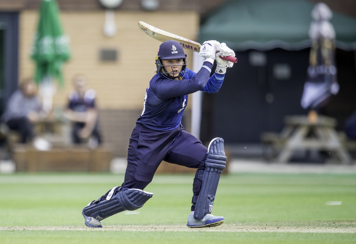 Northern Diamonds💎 tweet media