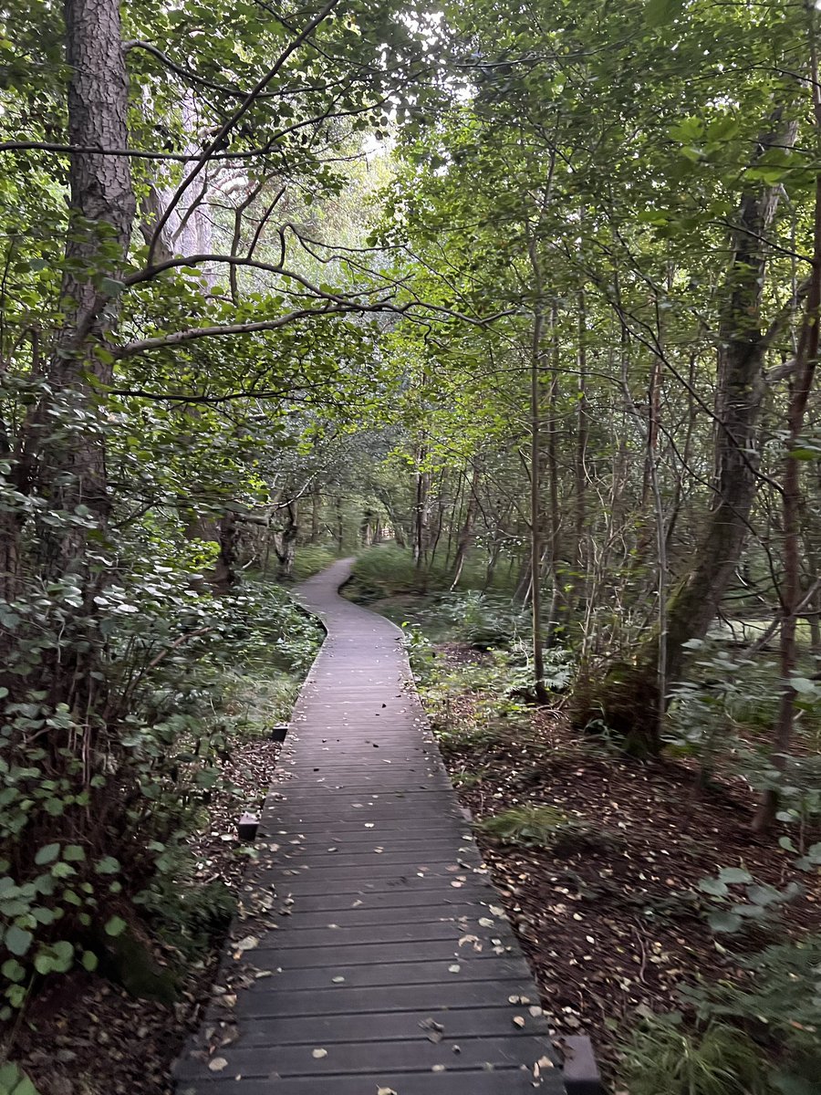 framkrosenthal's tweet photo. @TraderScarpa It’s nice and chill esp when I walk through the moor area https://t.co/a8pGlP9L7H