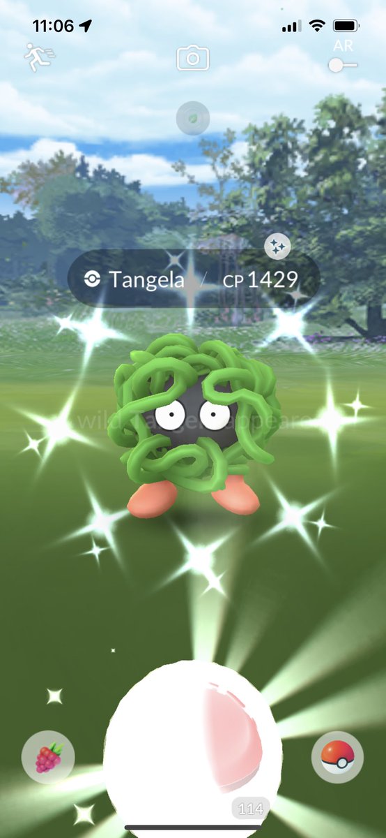 ChrisEFC91 Pokemon Go tweet media