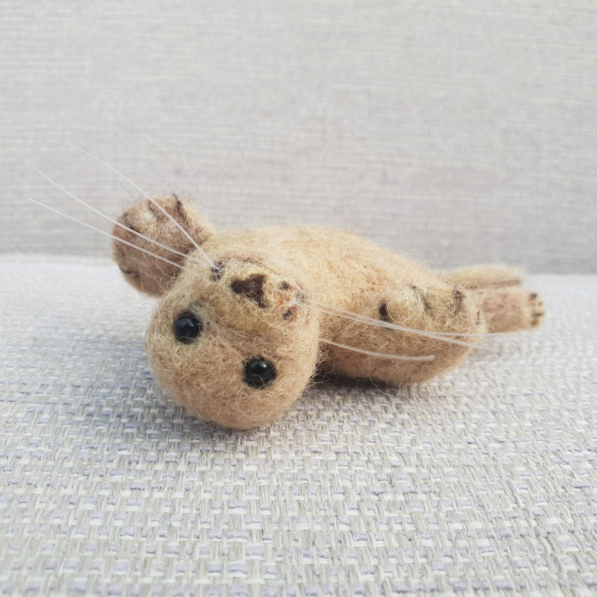 Hi there! I’m Jeremy. Please adopt me before Grace makes a Shark 🦭❤️
etsy.com/listing/152457…
#seal #sealbeach #etsy #elevenseshour #sealrescue