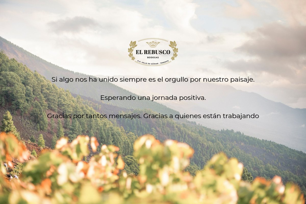 #IFTenerife
#IFArafoCandelaria
#DOValledeGüímar