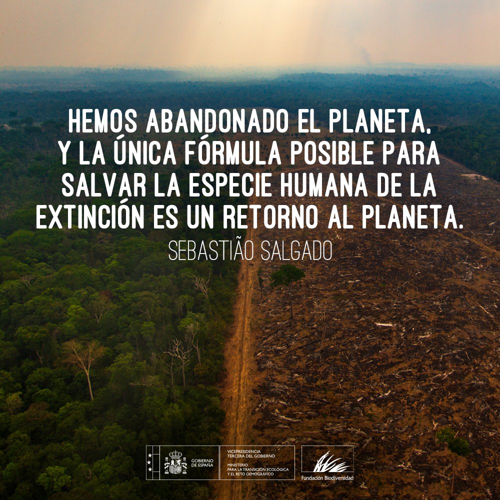 El fotógrafo brasileño 📸 Sebastião Salgado ha retratado durante más de cuatro décadas la grandiosidad de la naturaleza, pero también los mayores horrores cometidos por la especie humana.

#DíaMundialdelaFotografía