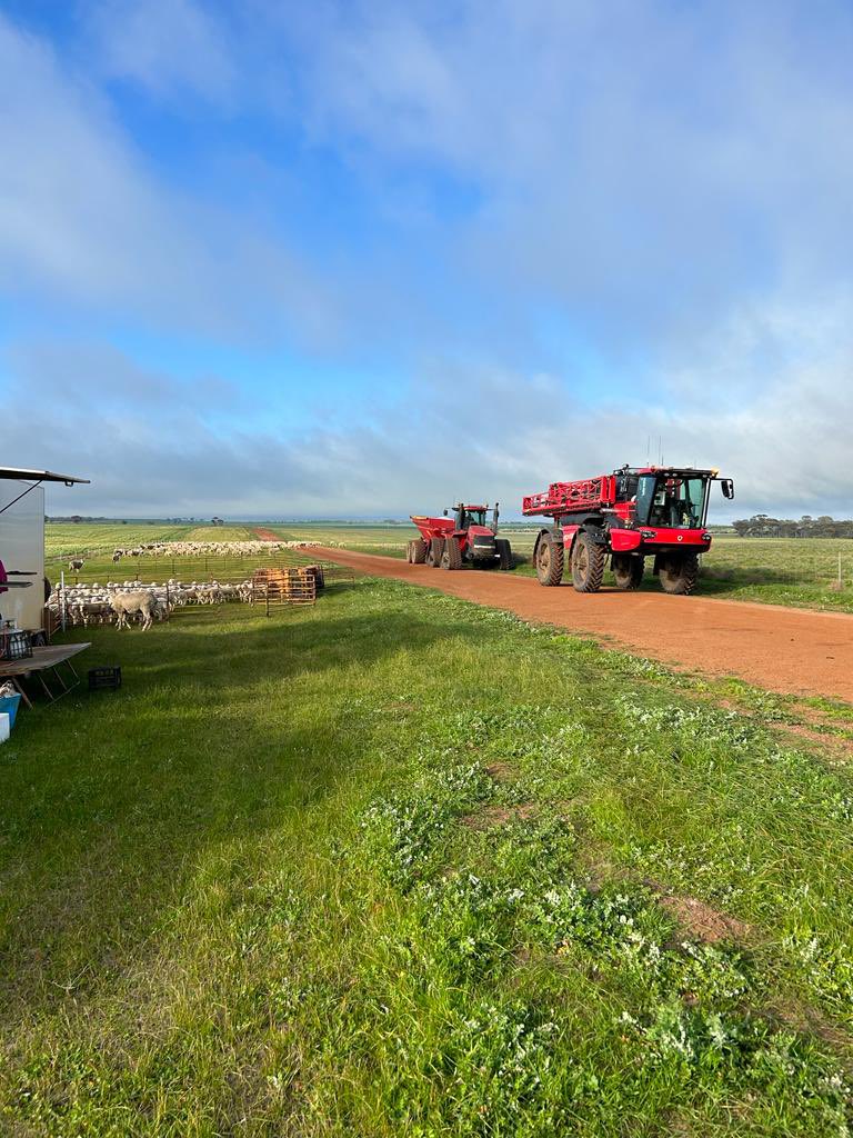 North Stirling Downs tweet media