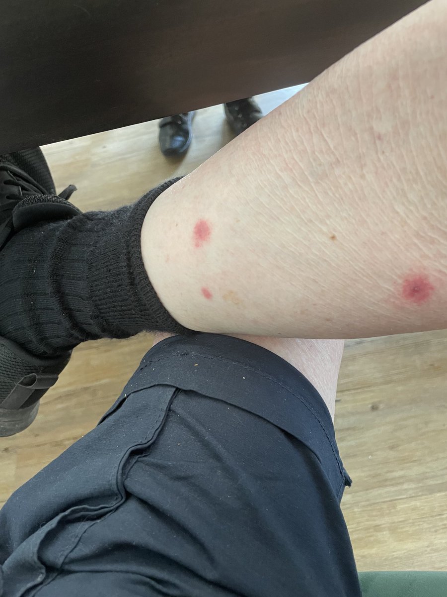 Hier gleich noch eine zweite Aufnahme… Dank für jeden Rat…