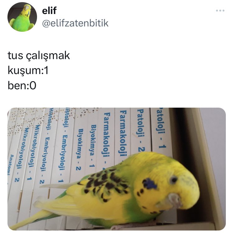 Tıpçının Günlüğü (@dr_olmayageldik) on Twitter photo 