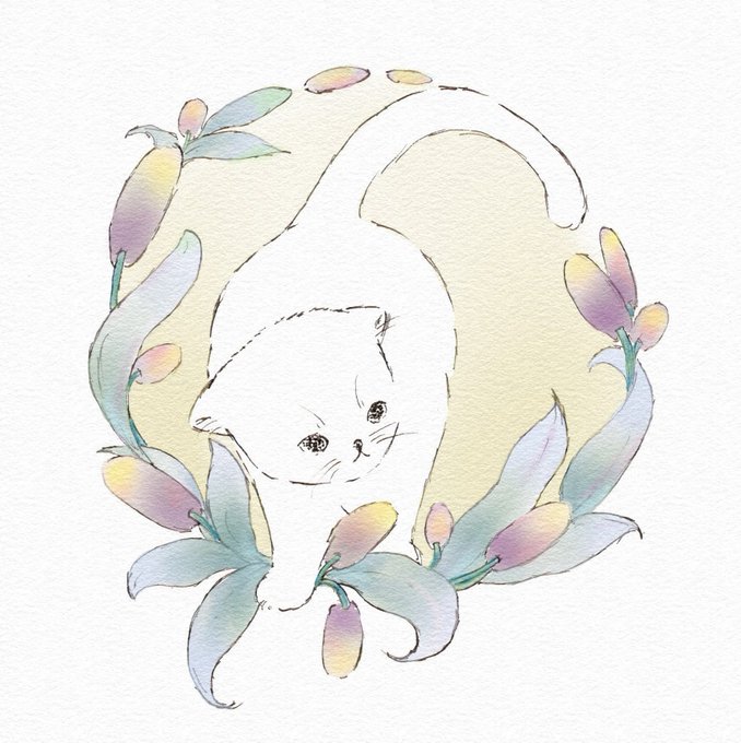 「猫好きさんと繋がりたい」のTwitter画像/イラスト(新着))