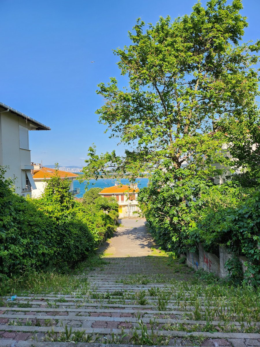 Her Cuma günü kendime bir dinlenme günü veriyorum. Haftanın stresinden uzaklaşmak ve enerji toplamak için mükemmel bir zaman! ☀️