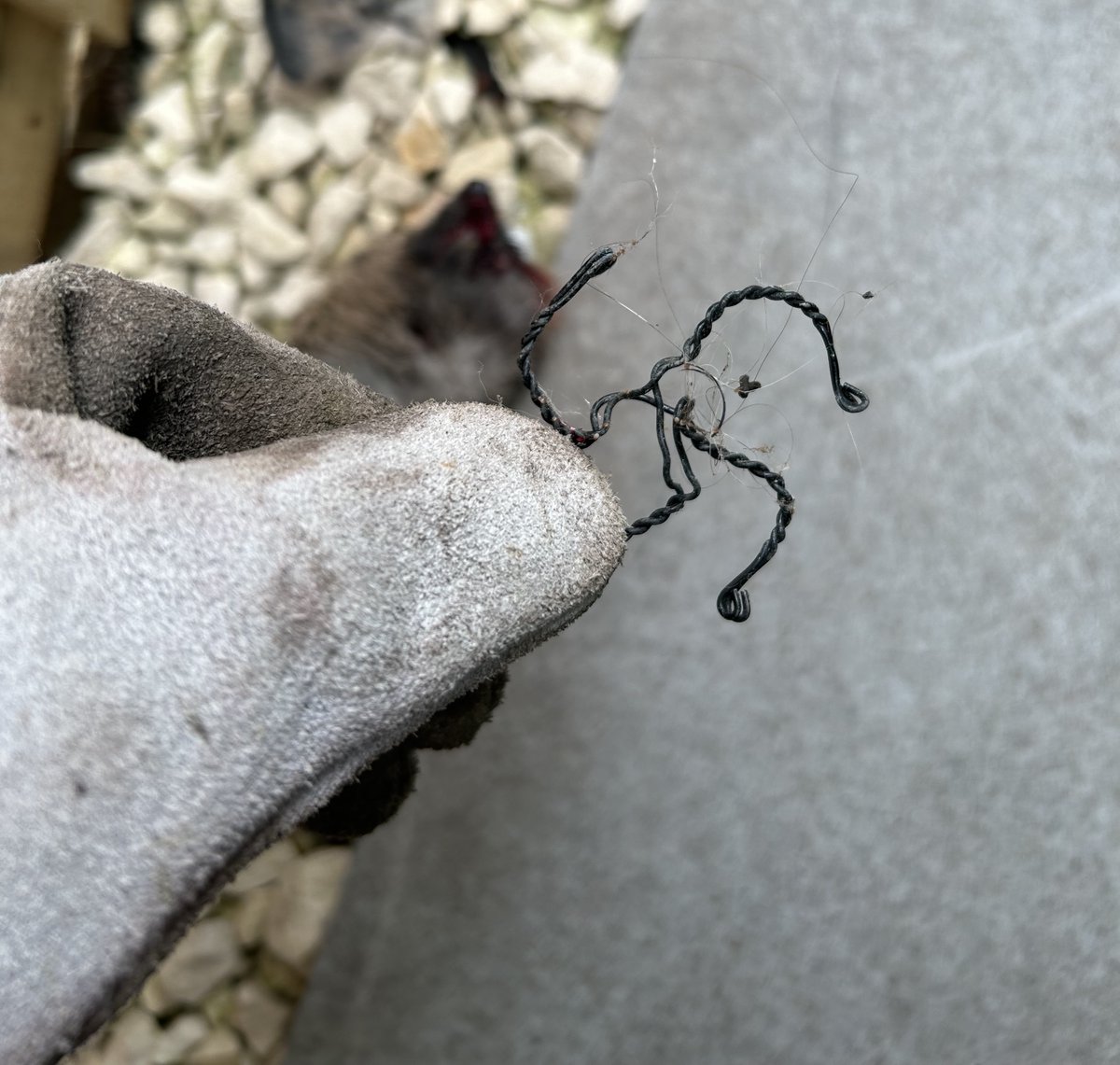 Do you know what this object is?

We recently had a report that a poor #hedgehog had been wounded through contact with this sharp object and we need to find out what it is in case it’s likely to be a problem for other hedgehogs.

☎️ 01584 890 801
📧 info@britishhedgehogs.org.uk