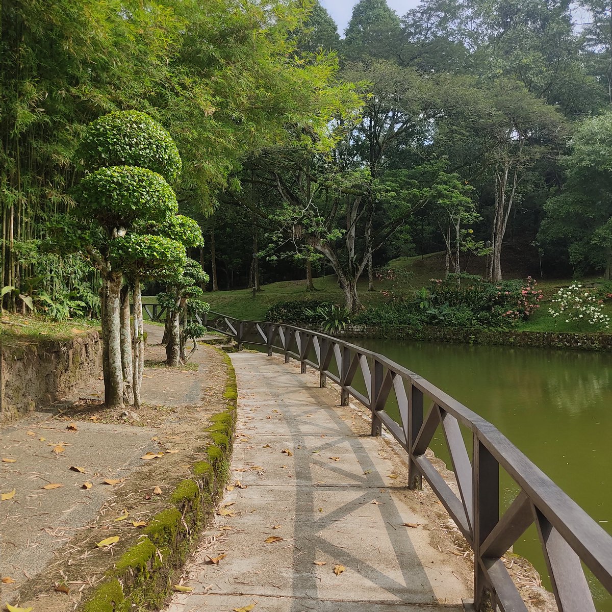 SphereMY_'s tweet image. Senarai taman² riadah di sekitar KL yg boleh dicapai KURANG 15 MINIT BERJALAN KAKI dari stesen MRT, LRT, Monorel &amp;amp; BRT 🌲🚇

1. Taman Tasik Perdana
🚆 Stesen: MRT Muzium Negara (Pintu B)
🚶Jarak: 350m
⏱️ Masa: 5 minit
🟢 : Mesra pejalan kaki antara stesen dengan taman

[BEBENANG]