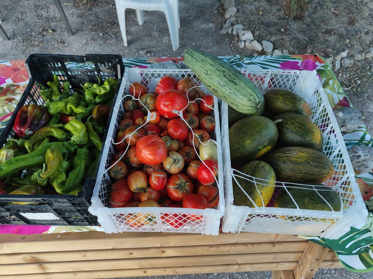 AtaraxiaRivas's tweet photo. Hoy nueva entrega de ATARAXIA de productos de los huertos Soto del Grillo y huerto urbano municipal José María Calvo. 140 kilos, la semana que viene ... más.
🌶️🍆🍅 https://t.co/oZXfcYiWUs
