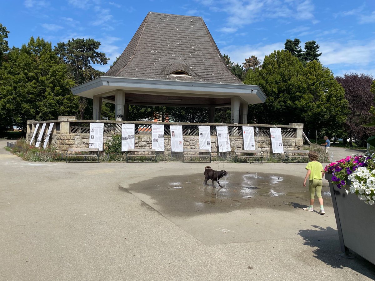 Die Ausstellung zu Frauengeschichte in #Ottakring ist wieder da. Wir Frauen lassen uns aus dem öffentlichen Raum nicht verdrängen. Frauengeschichte ist die Basis für unsere politische Arbeit. Für unseren feministischen Kampf gegen patriarchale Strukturen! 🌹✊ <a href="/ingrid_wien/">ingrid_wien 💉💉💉💉</a>