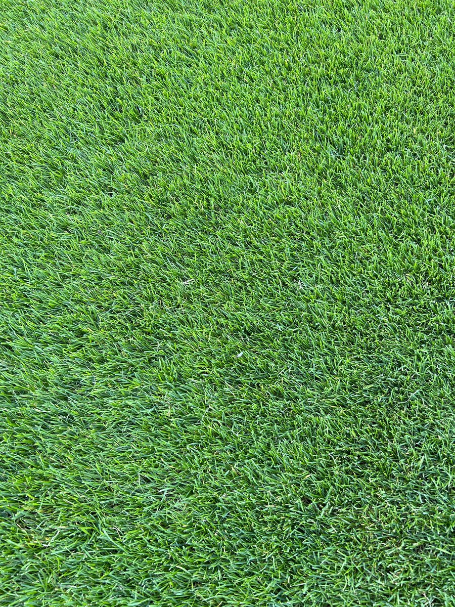 pmc771959's tweet photo. I am thrilled to be able to report that our Riverside Fibre-Sand constructed pitch has just been assessed by independent specialist company Propitch, and has achieved a 5 Star rating. This is tremendous. I would like to thank my team and advisors for their massive contribution!! https://t.co/xuE31CWib4