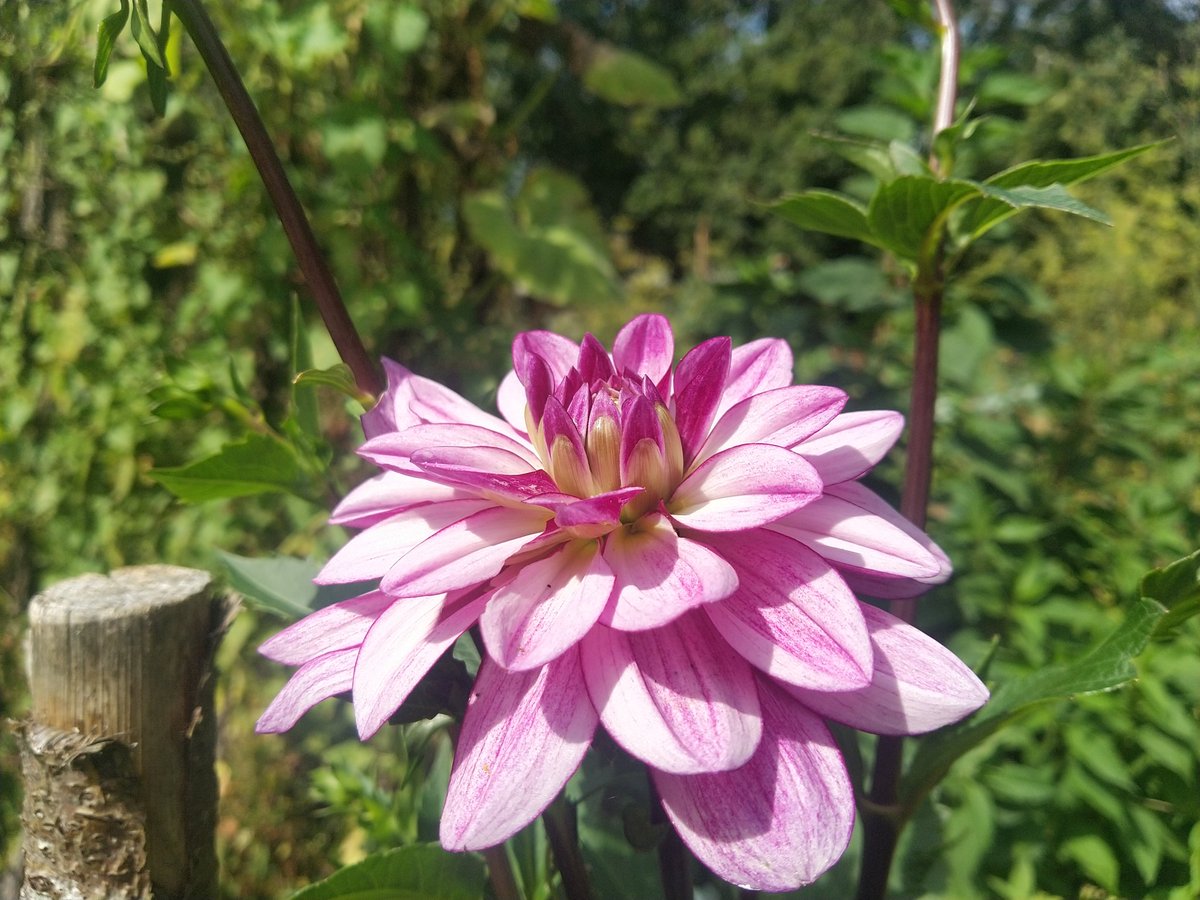 Bô #Vendredi à tout le monde 
Je ne fais que passer vous souhaiter un excellent w-e et une bonne fin de #Vacances ...
#A_bientôt. 
Pour les ☯️ et ☕🦂💙🍒👻🕷️🌸🐜🐺 ...  se reconnaîtront toujours dispo en dm
🦂