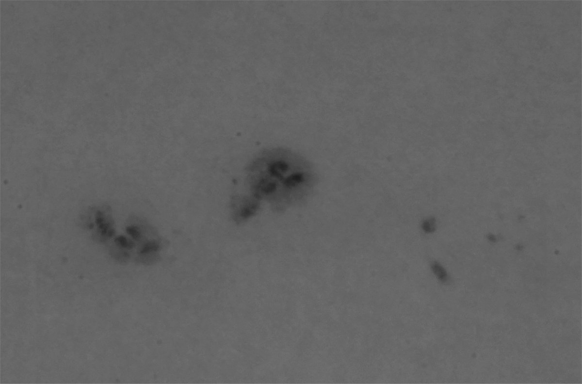 VanderdoleWim's tweet photo. #SideWalkAstronomyNetherlands #SideWalkAstronomy #TrottoarAstronomi #SidewalkScienceCenter #sidewalkscience #Zwolle #stoepsterrenkunde #BuienRadar @drbecky_s @captaround https://t.co/oGxsiZdj0D https://t.co/fYTQtdMRMl