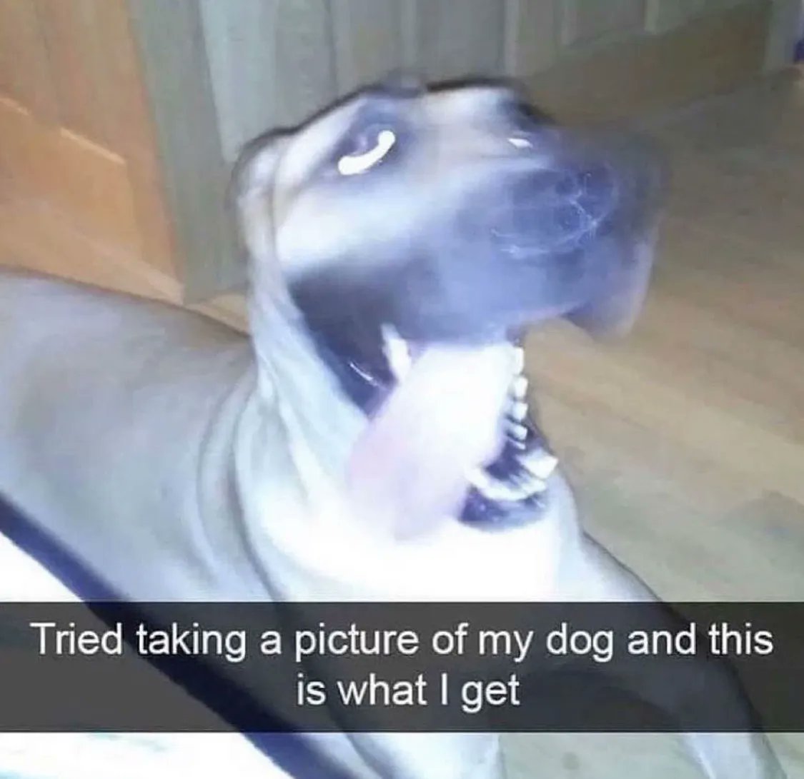 hourly_shitpost's tweet image. 