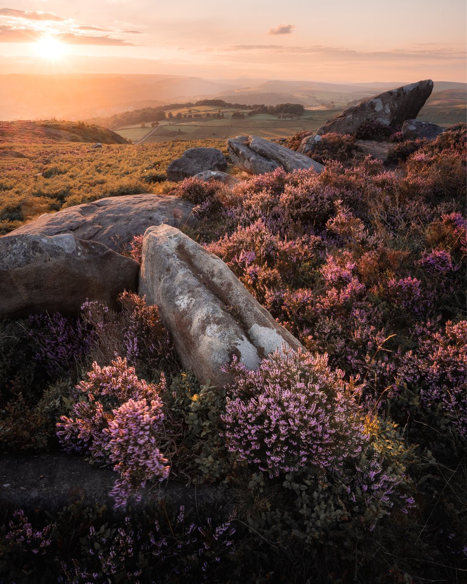 Chris Harvey tweet media