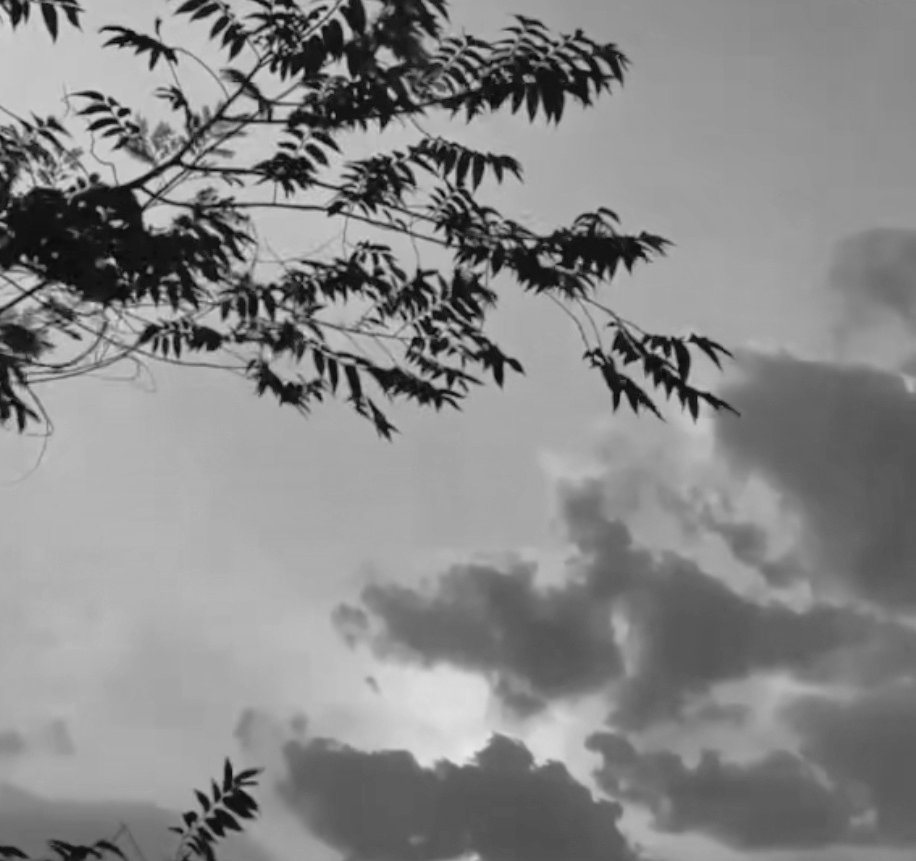 ضرورت سے زیادہ اچھے بنو گے تو ضرورت سے زیادہ استعمال کیئے جاو گے۔
اشفاق احمد