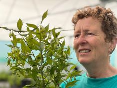 Join Rosy on the nursery to learn all about early Autumn Flowering Perennials on 12 and 13 September.  She'll cover plant attributes, perfect places to plant and colourful combinations. Booking essential.  
See: hardysplants.co.uk/shows-events 

<a href="/Rosyhardy62/">Rosemary Hardy 🌻</a> <a href="/RobHardyPlants/">Rob Hardy</a>