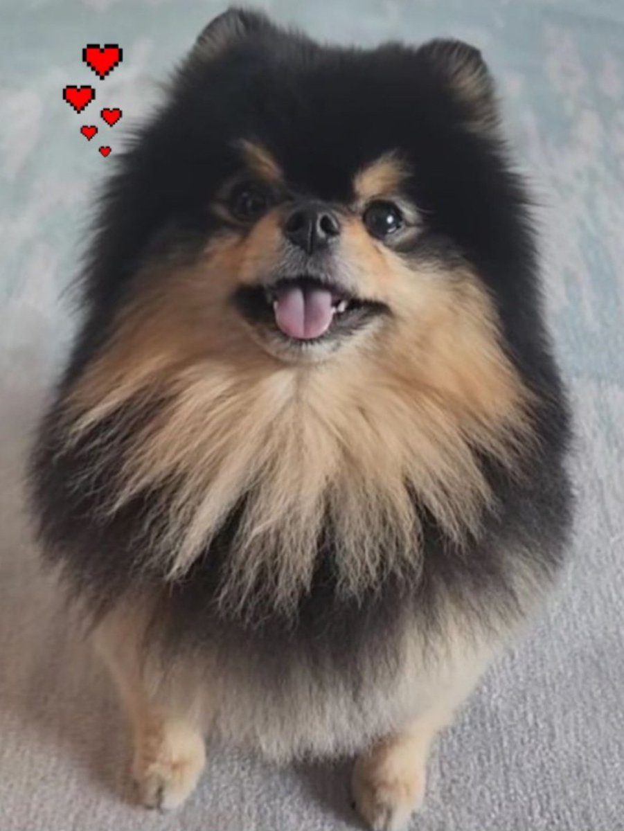 <a href="/BTS_twt___KTHV/">𝐊𝐈𝐌태형</a> 😏💕