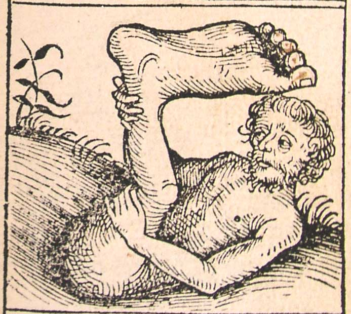 big foot, germany, 15th century