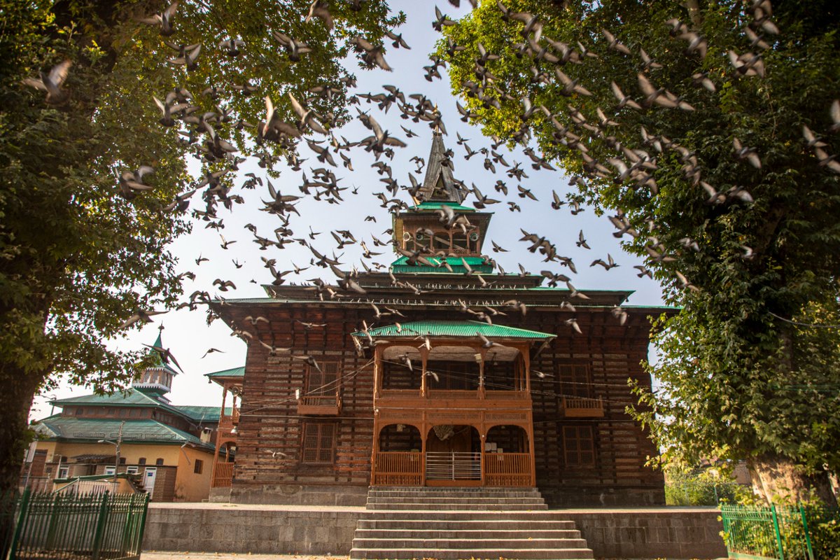 Pigeons flying at the entrance gate of Naqshband shrine in Srinagar Photograph by @umeerasif for The Kashmir Walla
