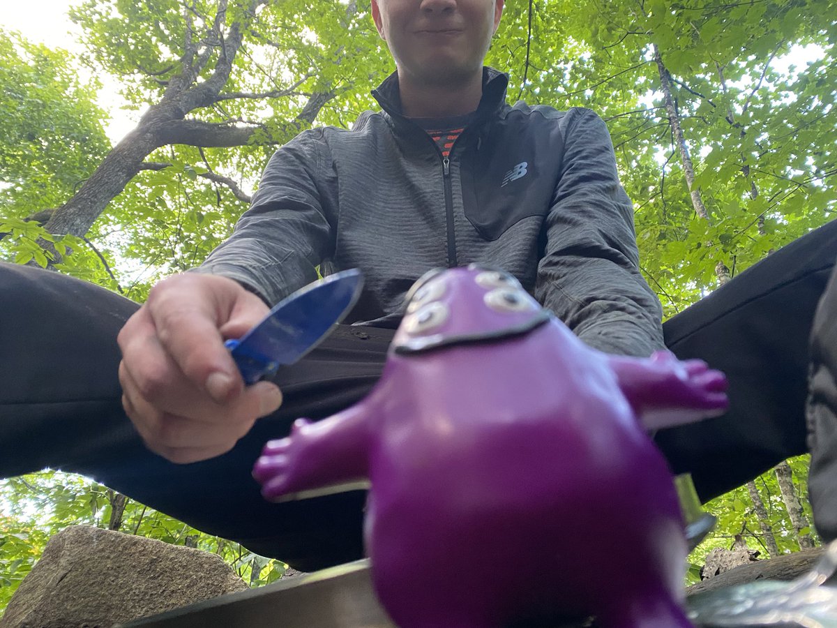 MattsMeteors's tweet image. Grimace and 🐸 on the Maine AT for 3 days #10.2 #BaltimoreStyle