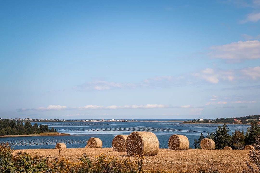 Hello September! 😍 

Check out newest blog post for 10 Things to Do in PEI This September 🔗👉 bit.ly/45TRAje

📍 North Rustico
📷 @miss_feltis