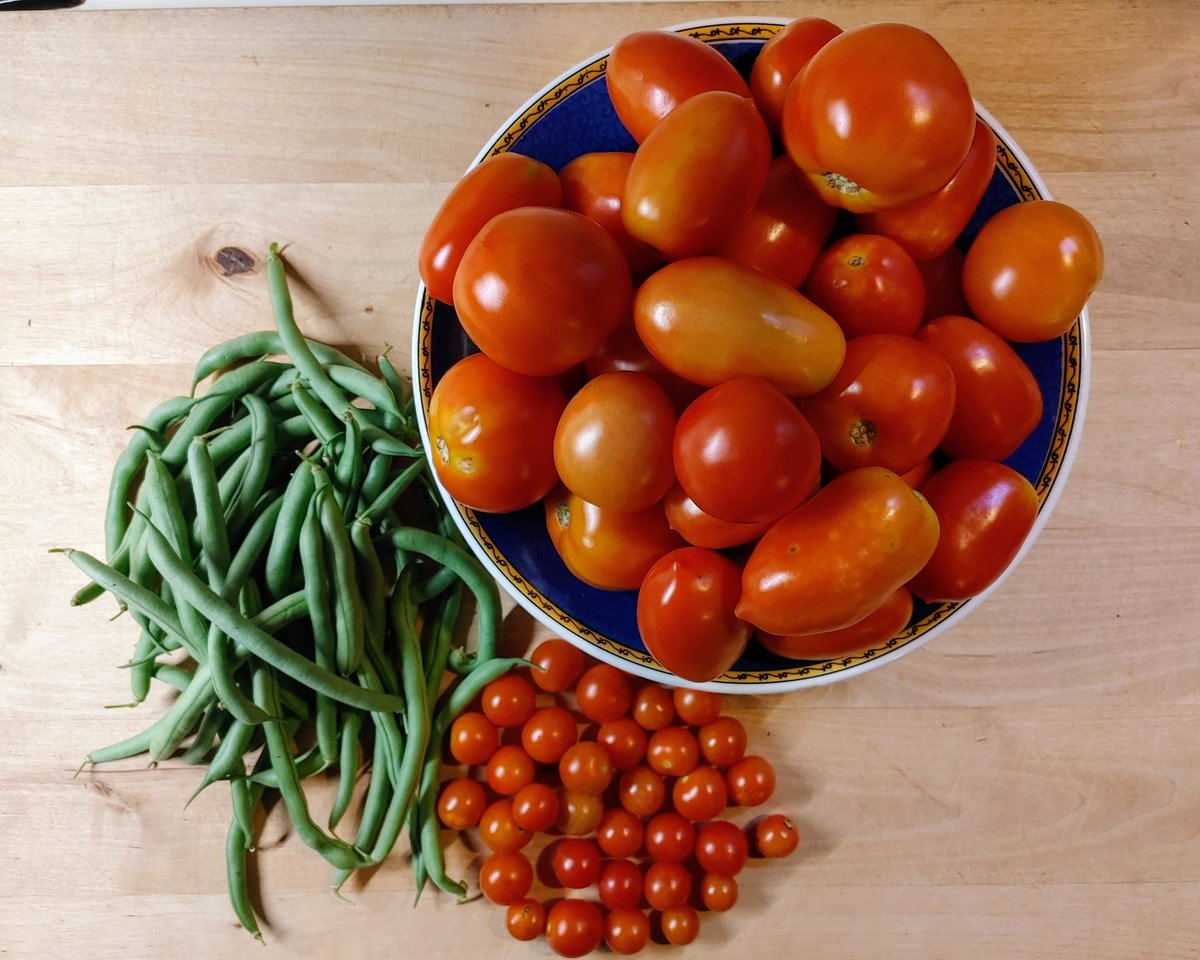 Dr. Vanessa K Hilliard tweet media